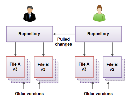 Developer 1's repository after a pull from the repository of developer 2.