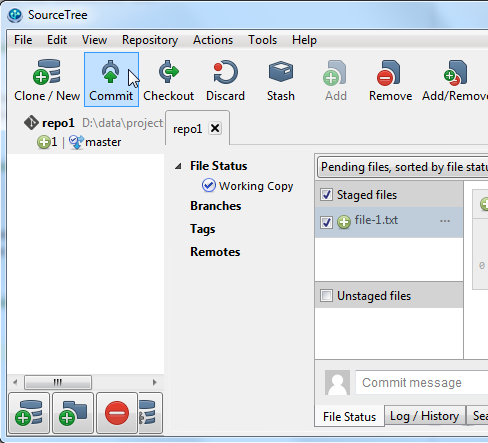 SourceTree commit button.