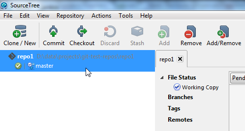 SourceTree after the new repository is created.