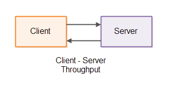 The client-server throughput of a client server system.